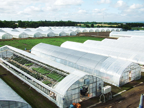 Nagano Nursery（Minamimaki Farm）