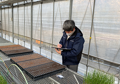 Oyama Seed Laboratory