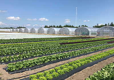 Sapporo Experimental Farm