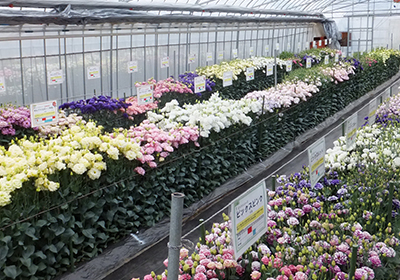 Fujimi Experimental Farm