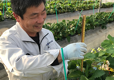 Kumamoto Experimental Farm